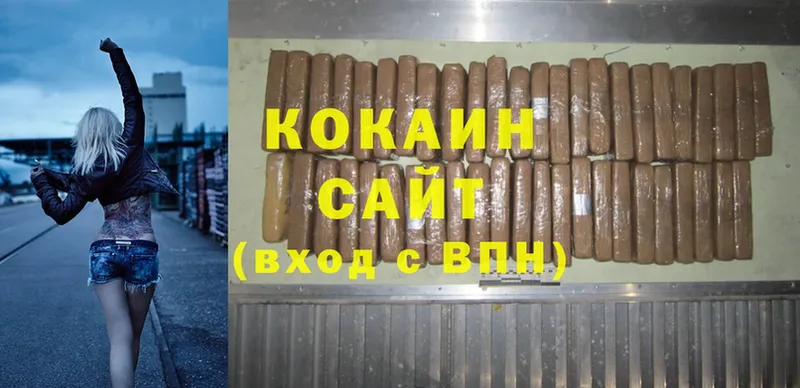 наркотики  Выборг  COCAIN Fish Scale 